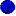 BlueSeal favicon