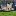 Moor Grange Farm favicon