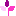 Masaje favicon