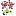 ARBOL favicon