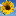 faviconSun favicon