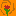 Rose favicon favicon