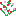 Flower Bunch favicon