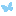 buttlerfly favicon