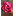 Pretty Rose favicon