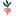 Radish favicon