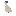 duckhat favicon