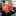 Strawberry in a classroom favicon