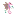 seahorse favicon