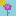 flower favicon