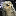 otterfaviconico favicon